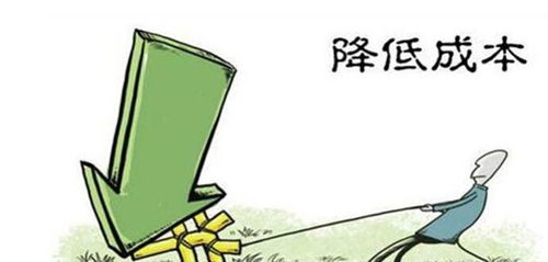 價格便宜十幾萬，平行進口車要不要選擇國內貿易代理？